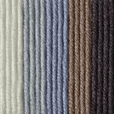 Caron x Pantone 100g Chunky Yarn