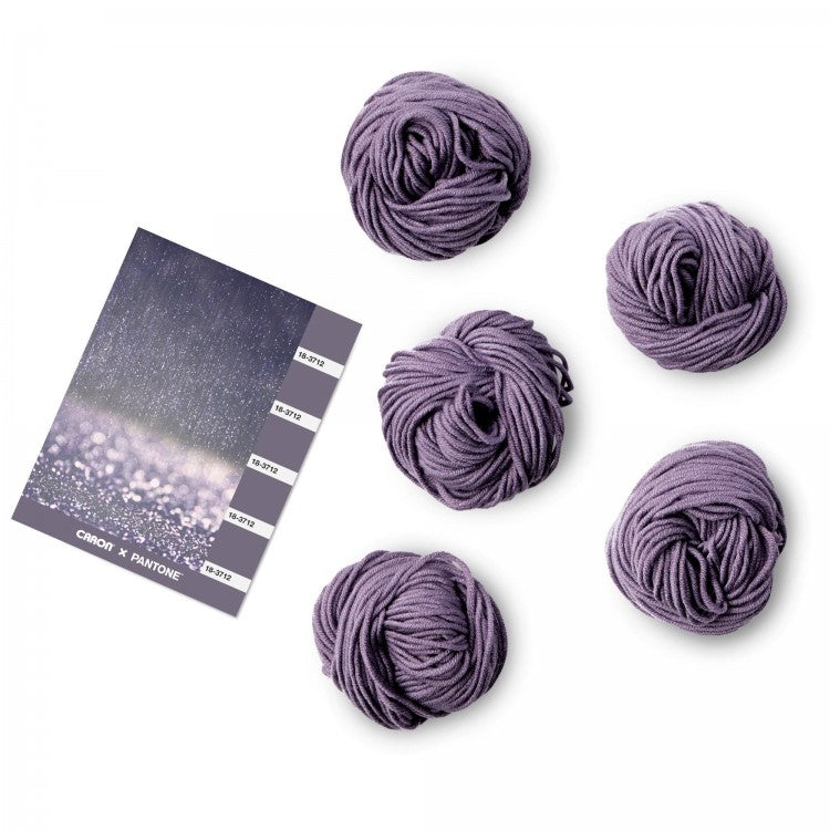 Caron x Pantone 100g Chunky Yarn