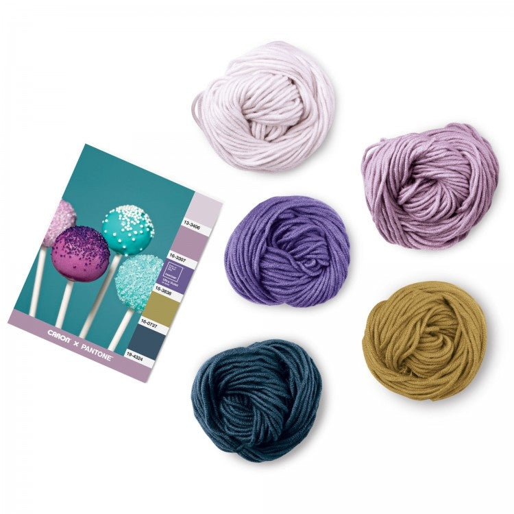 Caron x Pantone 100g Chunky Yarn
