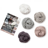 Caron x Pantone 100g Chunky Yarn