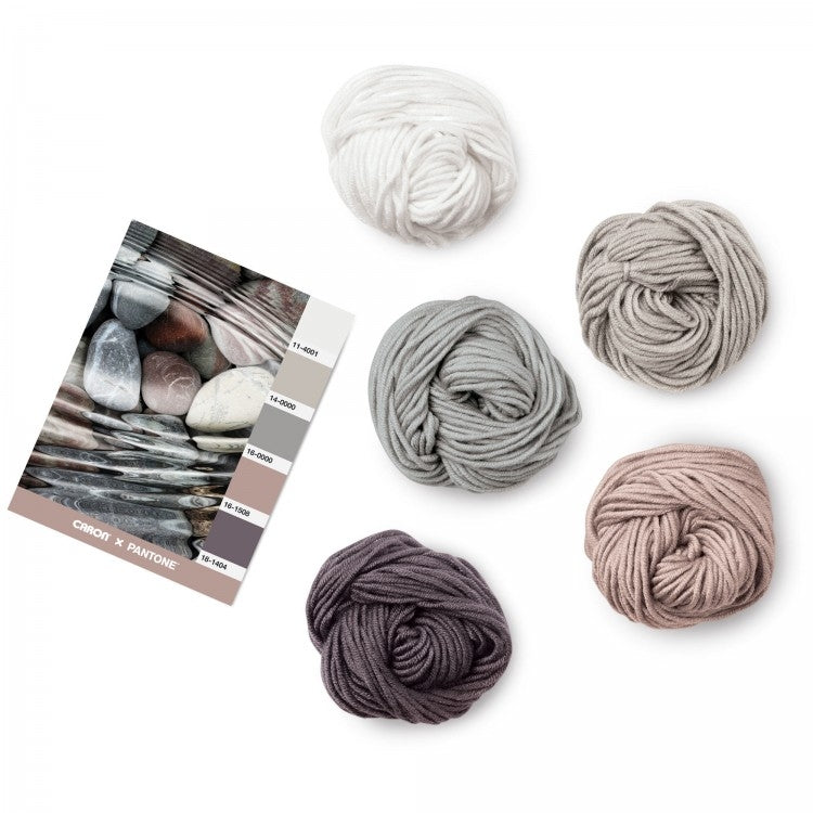 Caron x Pantone 100g Chunky Yarn