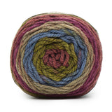 Caron Tea Cakes Super Chunky Yarn 240g
