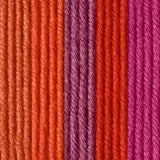 Caron x Pantone 100g Chunky Yarn