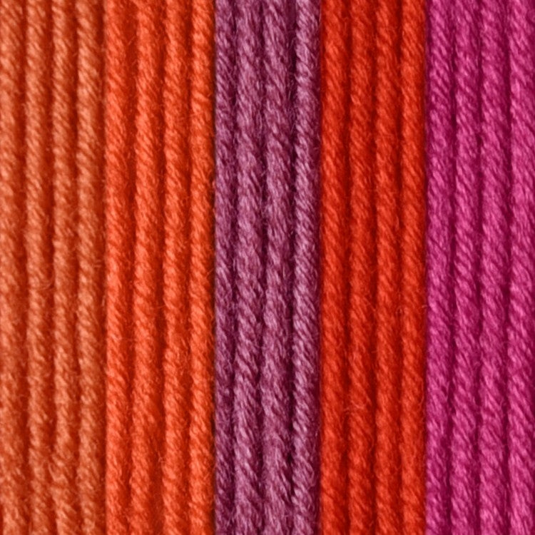 Caron x Pantone 100g Chunky Yarn