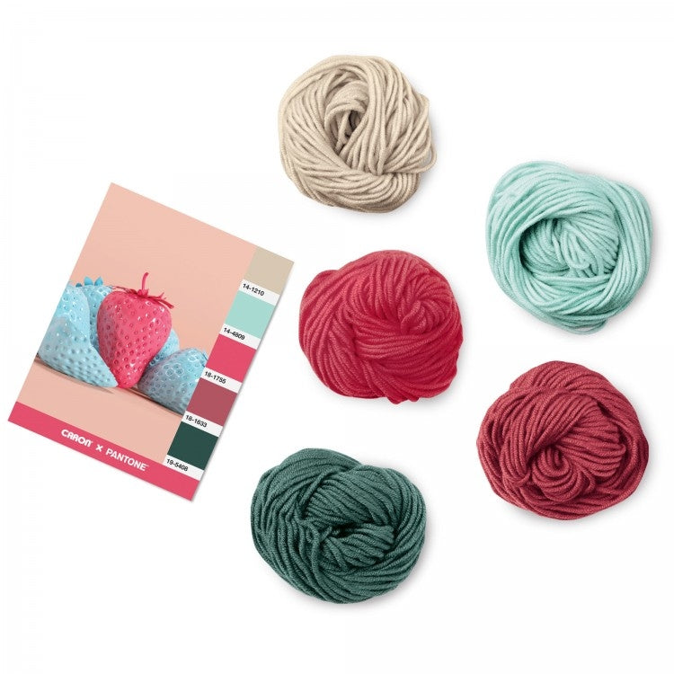 Caron x Pantone 100g Chunky Yarn