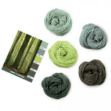 Caron x Pantone 100g Chunky Yarn