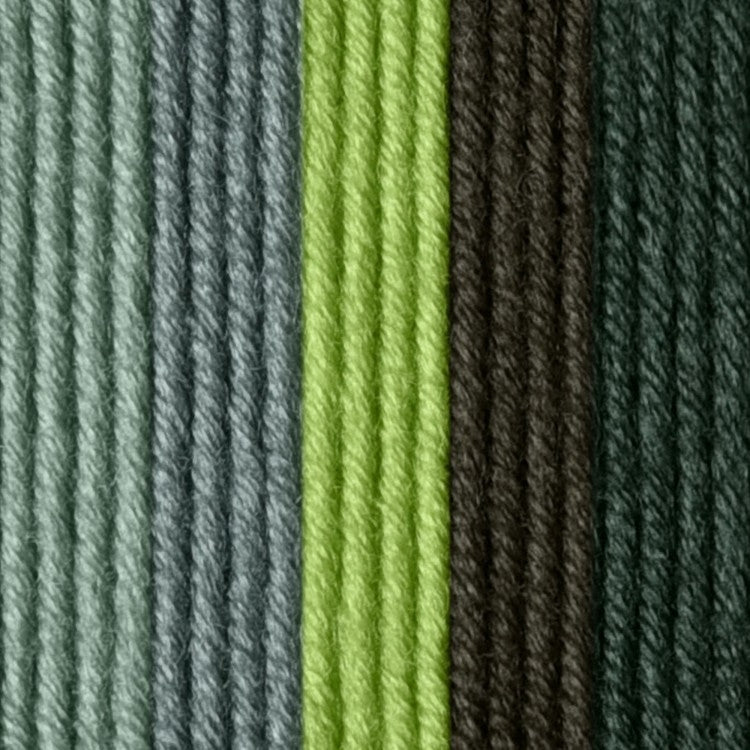 Caron x Pantone 100g Chunky Yarn