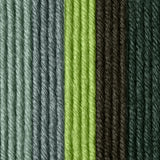 Caron x Pantone 100g Chunky Yarn