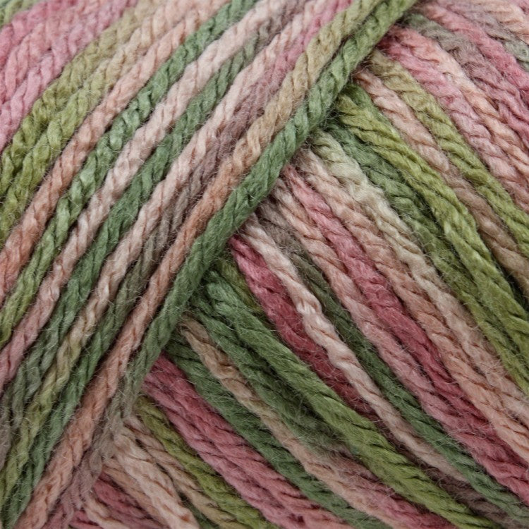 Caron Simply Soft Aran Yarn 141g - Paints & Heathers