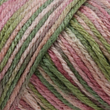 Caron Simply Soft Aran Yarn 141g - Paints & Heathers