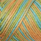 Caron Simply Soft Aran Yarn 141g - Paints & Heathers