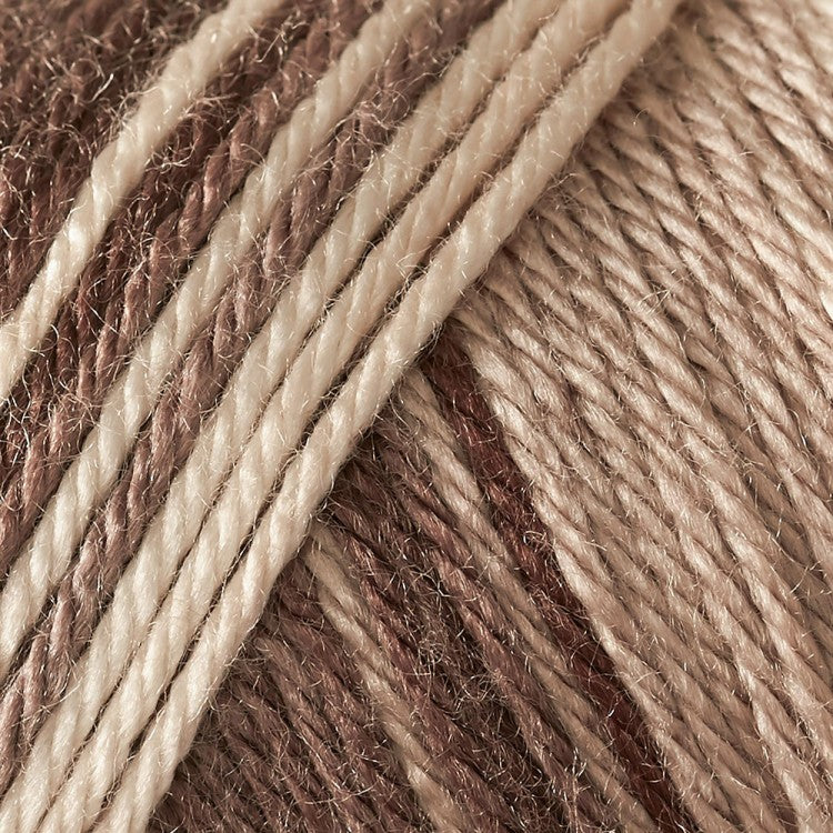 Caron Simply Soft Aran Yarn 141g - Ombres