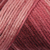 Caron Simply Soft Aran Yarn 141g - Ombres