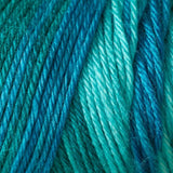 Caron Simply Soft Aran Yarn 141g - Ombres