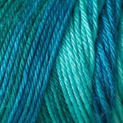 Caron Simply Soft Aran Yarn 141g - Ombres
