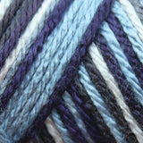 Caron Simply Soft Aran Yarn 141g - Camo