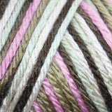 Caron Simply Soft Aran Yarn 141g - Camo