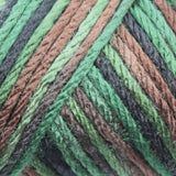 Caron Simply Soft Aran Yarn 141g - Camo