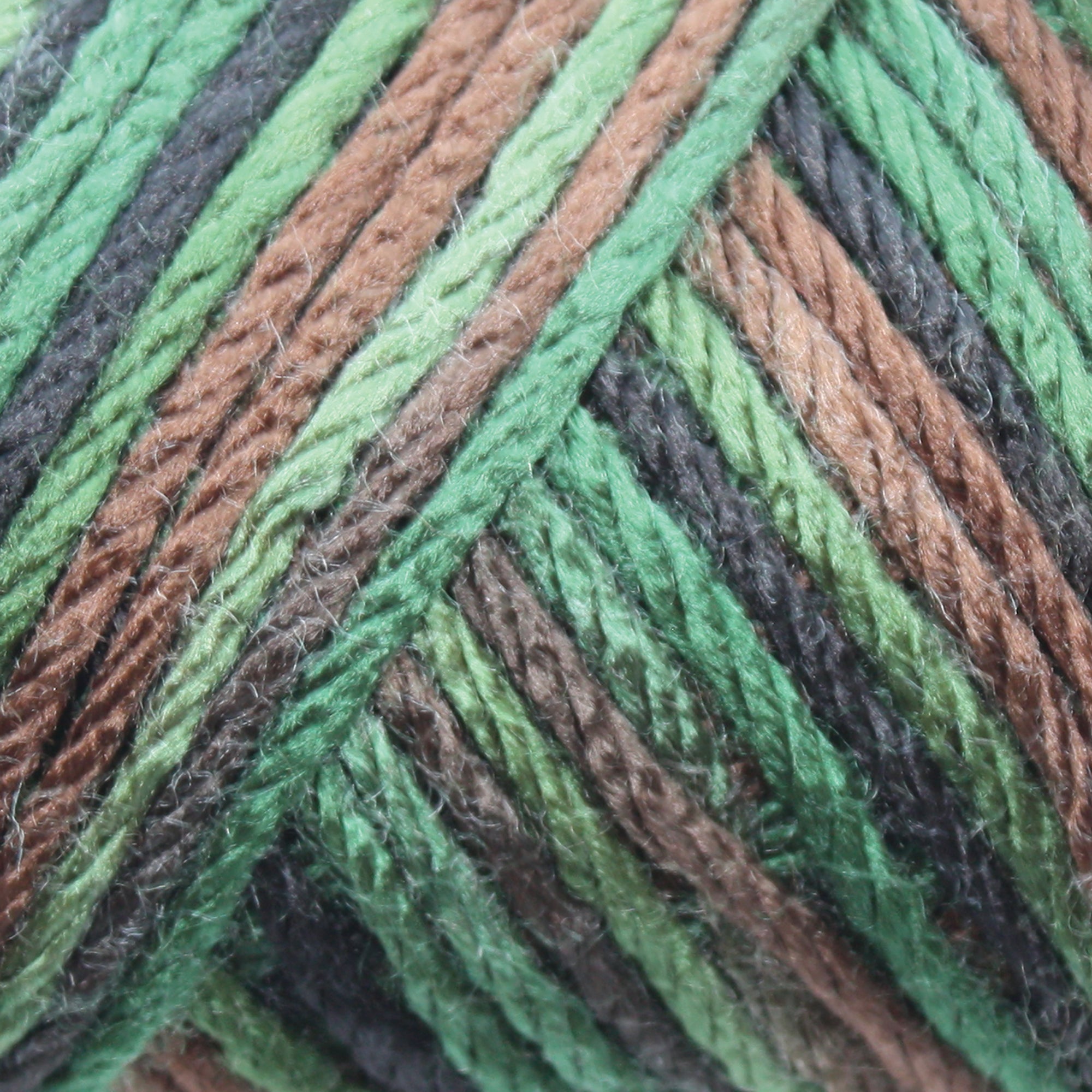 Caron Simply Soft Aran Yarn 141g - Camo