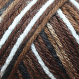 Caron Simply Soft Aran Yarn 141g - Camo