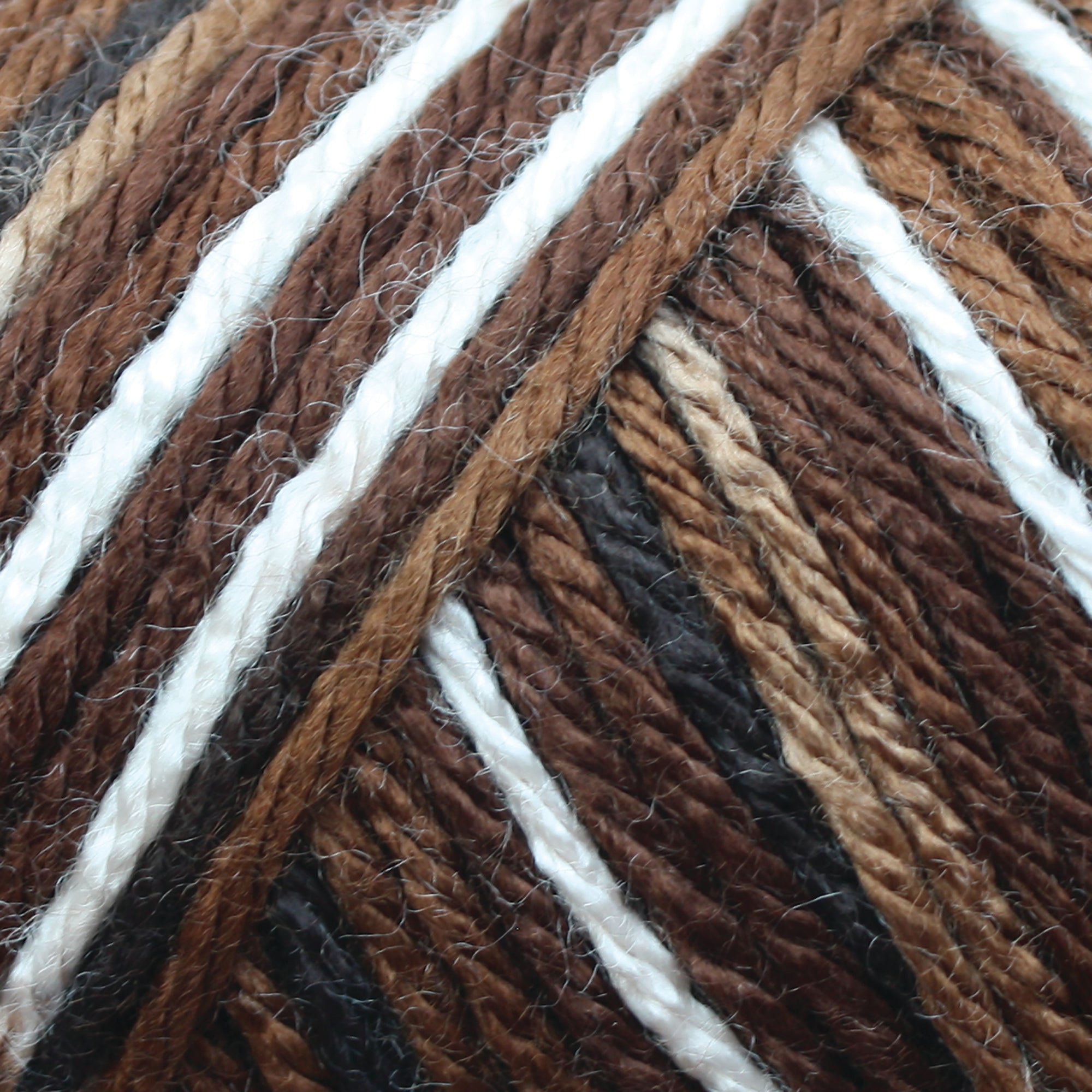 Caron Simply Soft Aran Yarn 141g - Camo