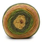 Caron Cakes Self Striping Aran Yarn 200g