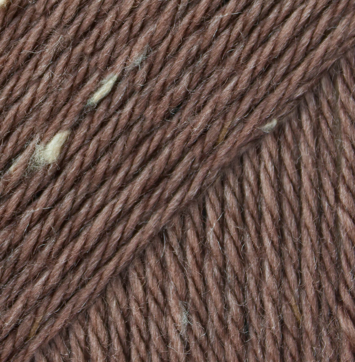 Caron Simply Soft Aran Yarn 141g - Tweeds
