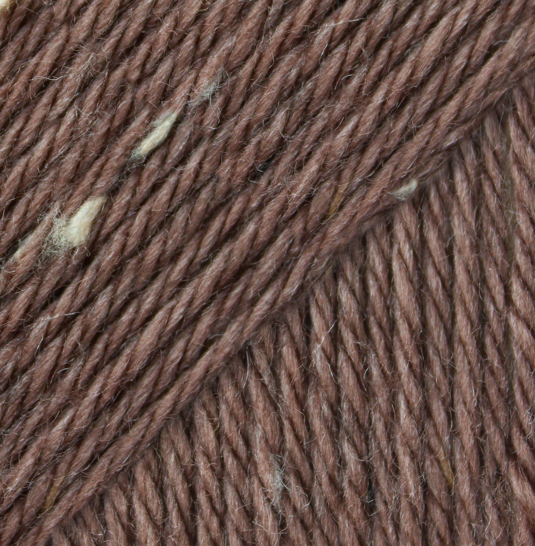 Caron Simply Soft Aran Yarn 141g - Tweeds