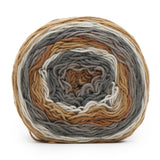 Caron BIG Cakes Aran Yarn 300g