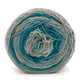 Caron BIG Cakes Aran Yarn 300g