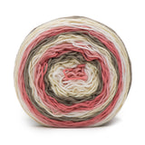 Caron BIG Cakes Aran Yarn 300g