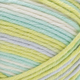 Bernat Softee Baby Cotton DK Yarn 120g