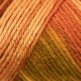 Caron Simply Soft Aran Yarn 141g - Ombres