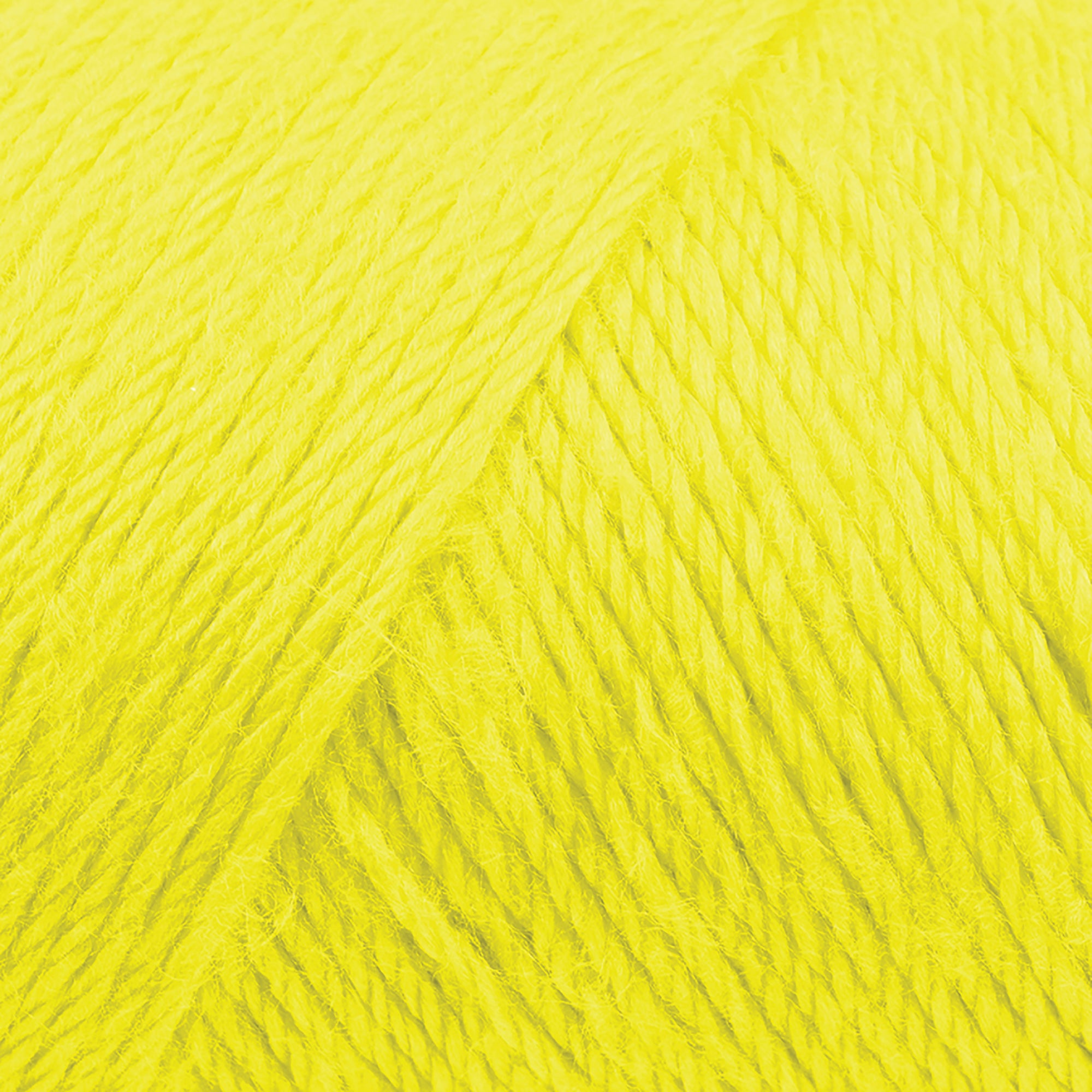 Caron - Simply Soft Aran Yarn 170g - Brites