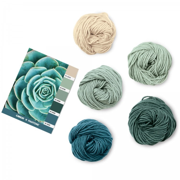 Caron x Pantone 100g Chunky Yarn