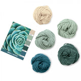 Caron x Pantone 100g Chunky Yarn