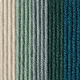 Caron x Pantone 100g Chunky Yarn