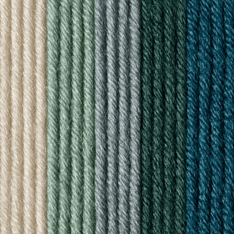 Caron x Pantone 100g Chunky Yarn