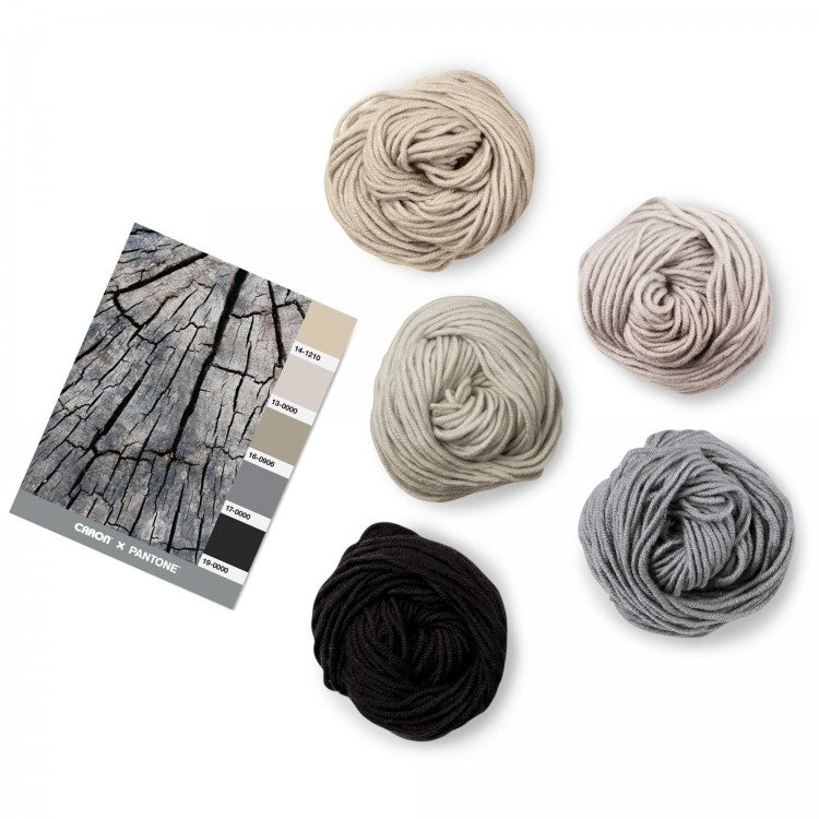 Caron x Pantone 100g Chunky Yarn