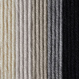 Caron x Pantone 100g Chunky Yarn