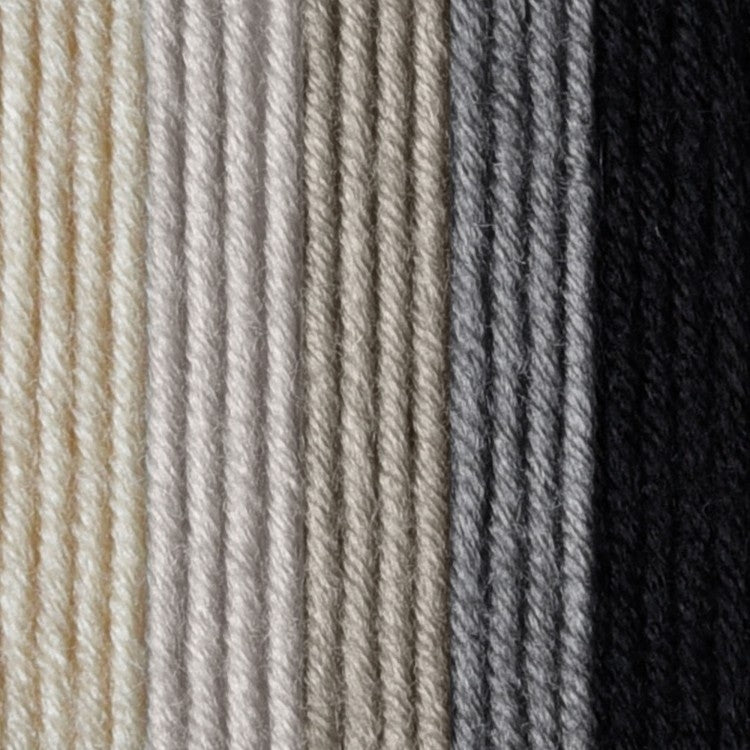 Caron x Pantone 100g Chunky Yarn