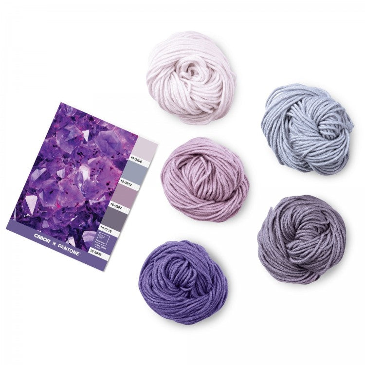 Caron x Pantone 100g Chunky Yarn