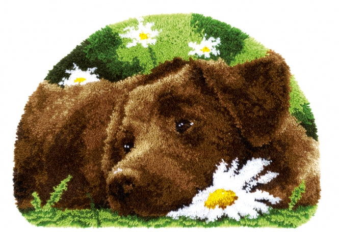 Vervaco Latch Hook Rug - Chocolate Labrador PN-0153852