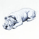 Cecil Aldin Man's Best Friend Cross Stitch Kit - Winston