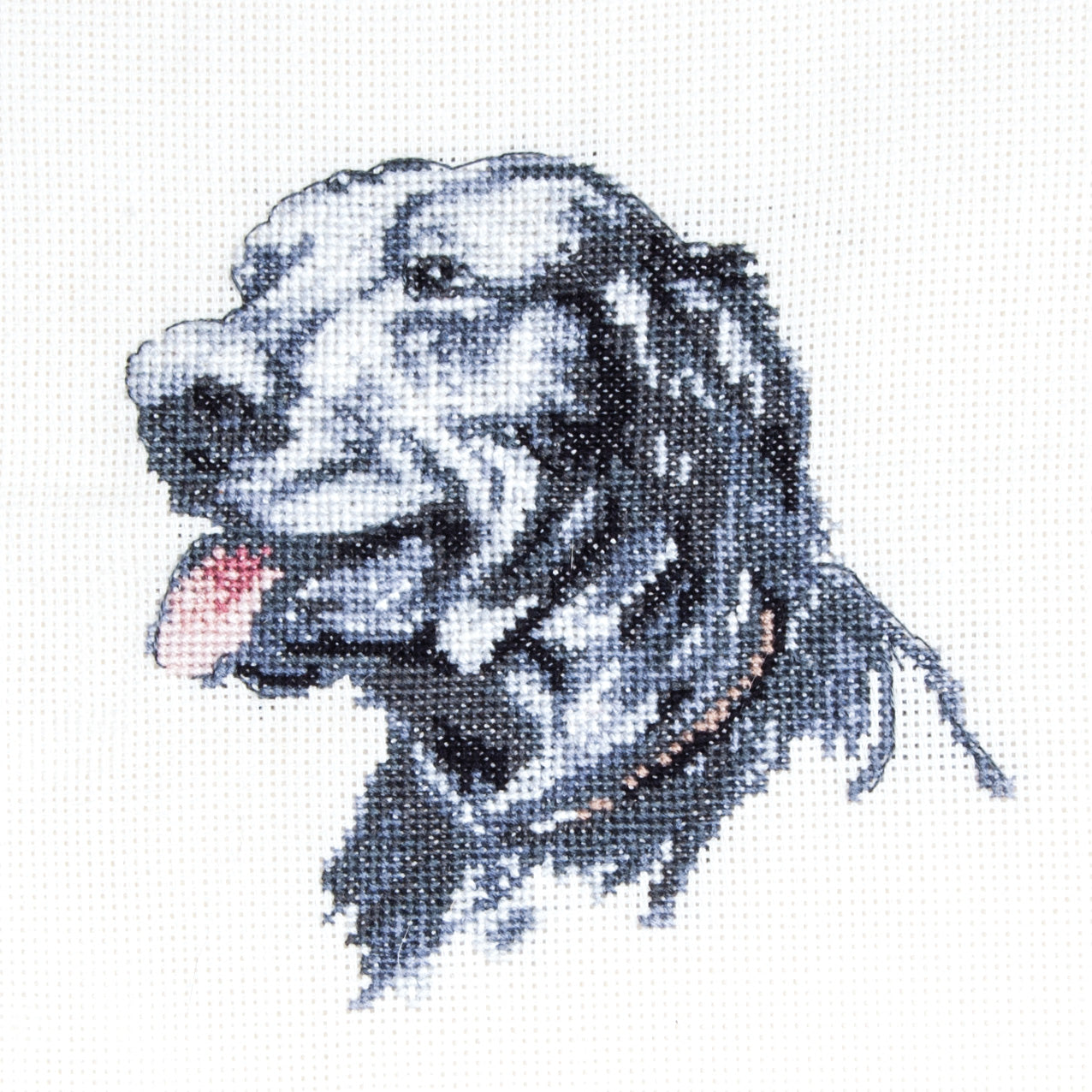 Cecil Aldin Man's Best Friend Cross Stitch Kit - Pilot