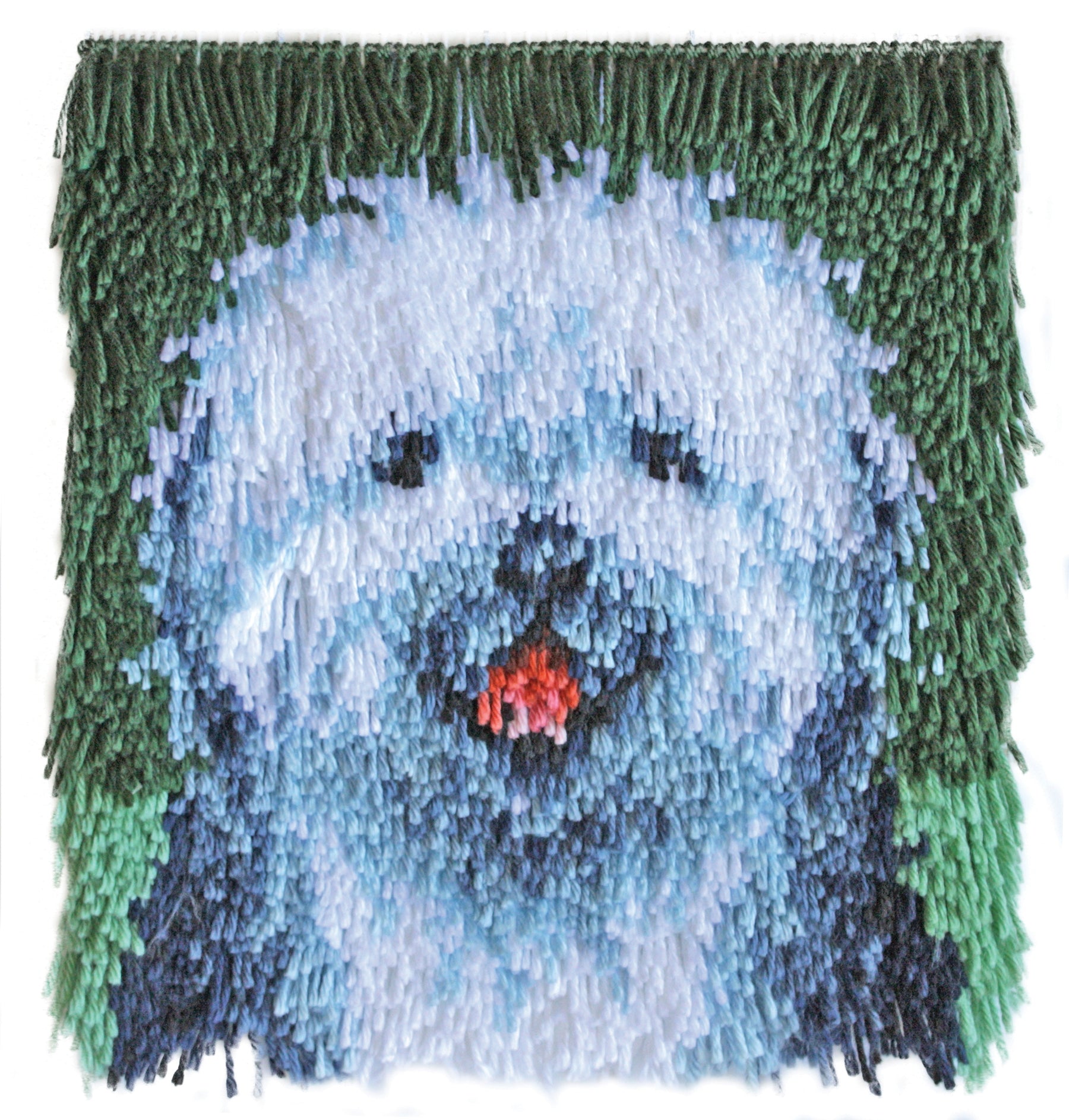 Wonderart Shaggy Dog Latch Hook Rug Kit 12" x 12"
